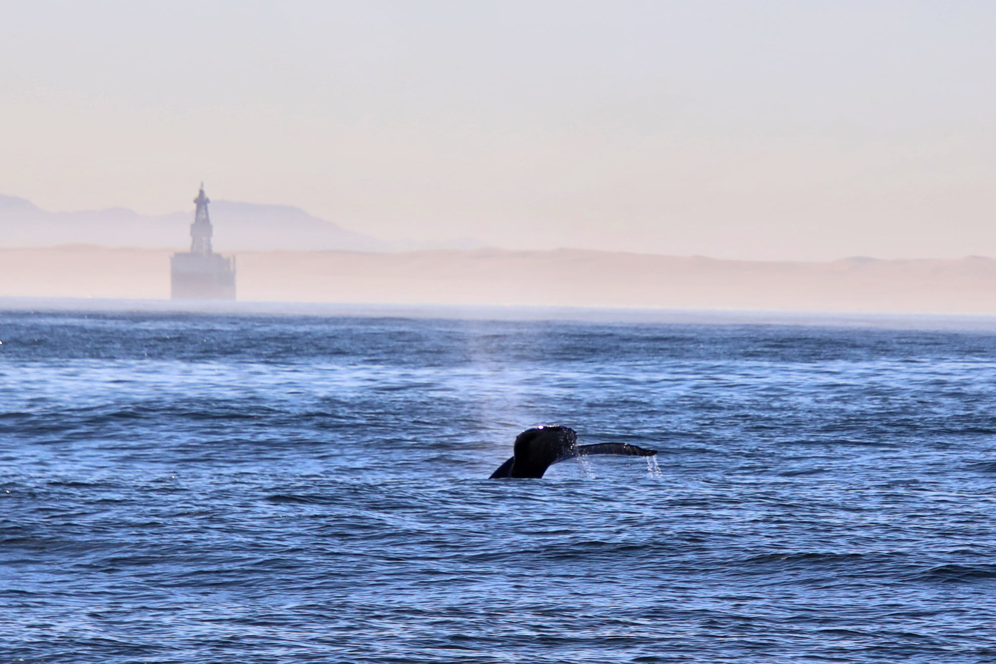 Laramon Catamaran Tours